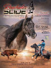 Rawhides Slide Flyer Large